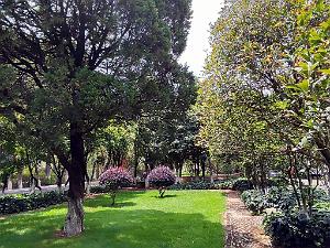 Kunming - Universite du Yunnan (41)